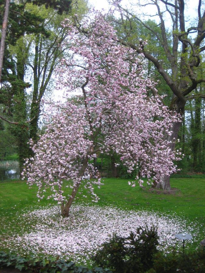 Neuhausen  Gartenzimmer Im Schloss Neuhausen المظهر الخارجي الصورة