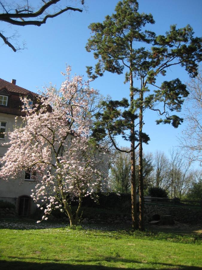 Neuhausen  Gartenzimmer Im Schloss Neuhausen المظهر الخارجي الصورة